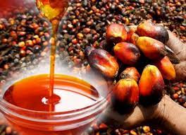 Palm Oil (in Basic Plastic Container)